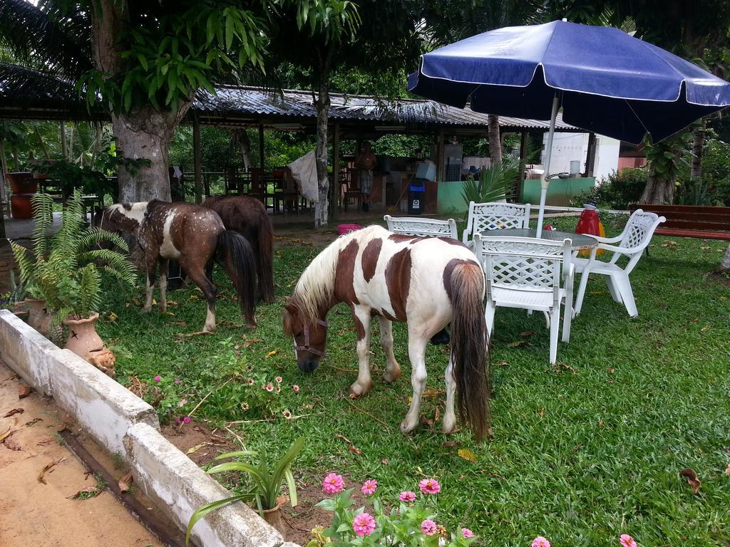 Chacara Santa Barbara Manaus